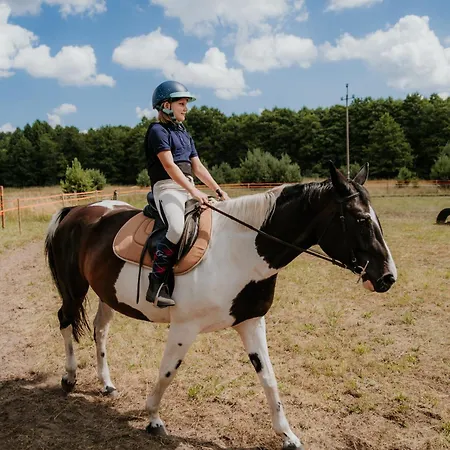 Wypoczywanko W Borsku 24