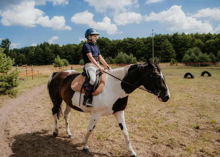 Wypoczywanko W Borsku 24